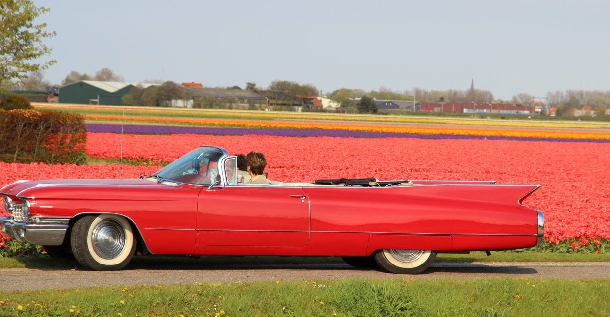 Eerst De Zilk dan De Zee