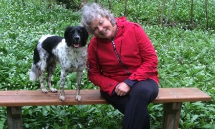 De liefde voor een hond: Over Jitte, Molly en Olle