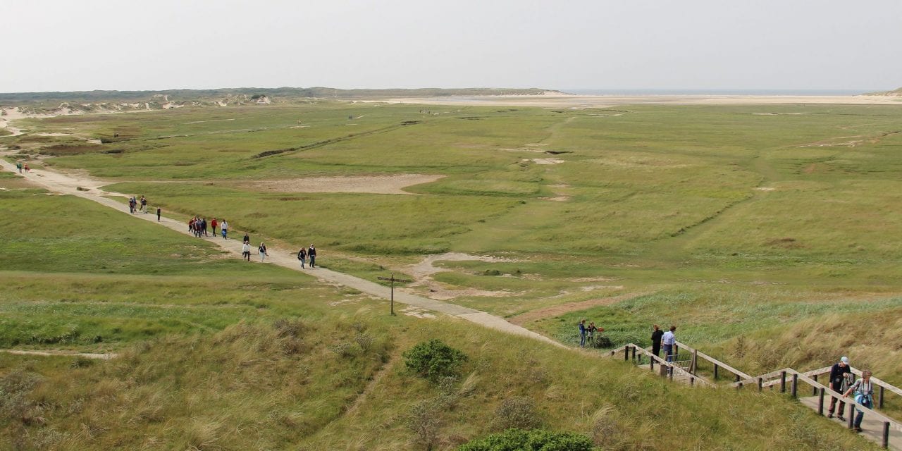 Als een trein naar Texel