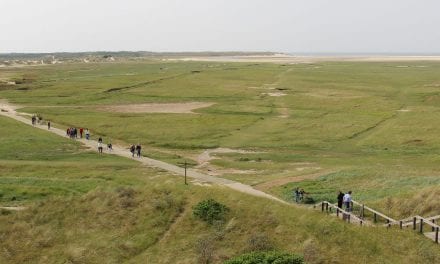 Als een trein naar Texel