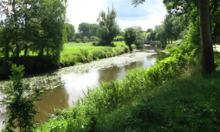 Zomer in Zuid-Nederland (4)