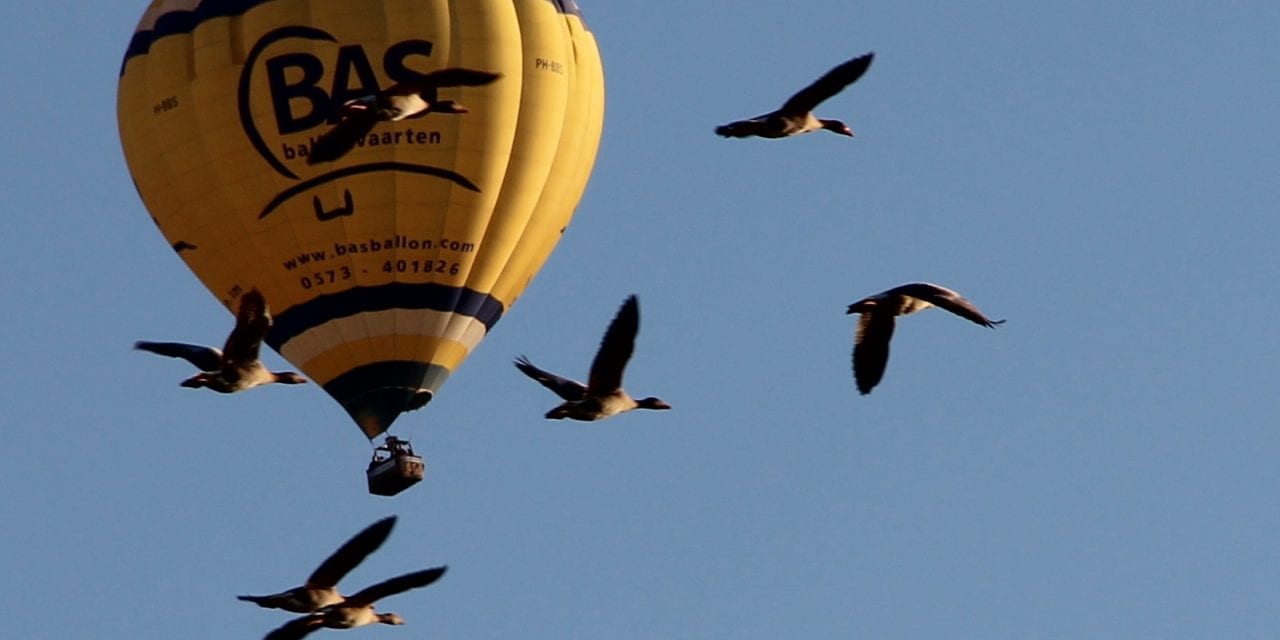 In luchtballon beleef je droom écht