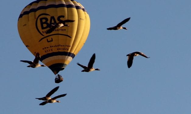 In luchtballon beleef je droom écht