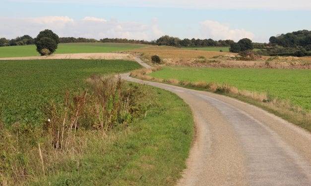 Zuid-Limburg wandelparadijs. In voetspoor van oermens