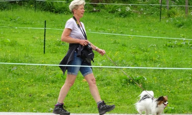 In Beweging: 2x per dag loopt Netty kilometers met haar hondje Bella