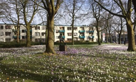 Van Eesteren-wandeling door Amsterdam-West: feest der herkenning