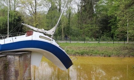 Middelheim, ’s werelds grootste beeldenpark parel van Antwerpen