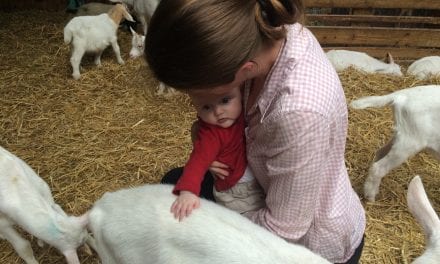 Naar kinderboerderij! Goed voornemen verdrijft depressieve bui