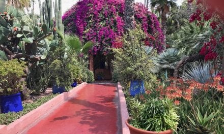 Het betoverende Marrakesh van Yves Saint Laurent