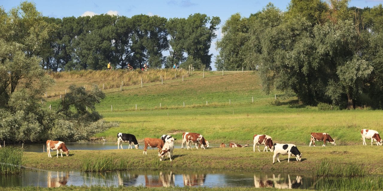 Fietsroute door Gelders landschap