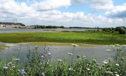 De Keuze van Kees: Zó mooi is de Ooijpolder!