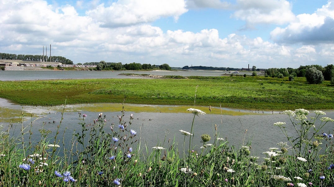 De Keuze van Kees: Zó mooi is de Ooijpolder!