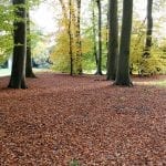 De keuze van Kees: Op zoek naar de herfst