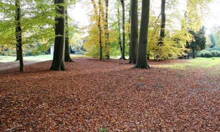 De keuze van Kees: Op zoek naar de herfst