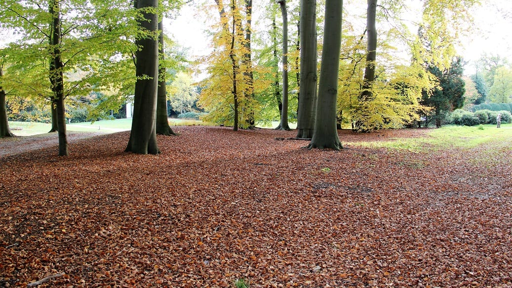 De keuze van Kees: Op zoek naar de herfst