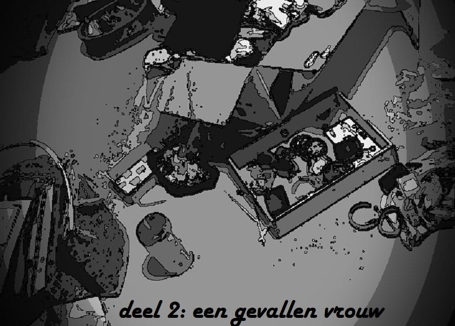 Deel 2 van onze feuilleton voor u!