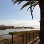 Kees’ Keuze: Gran Canaria  voor zomerse blik in de winter