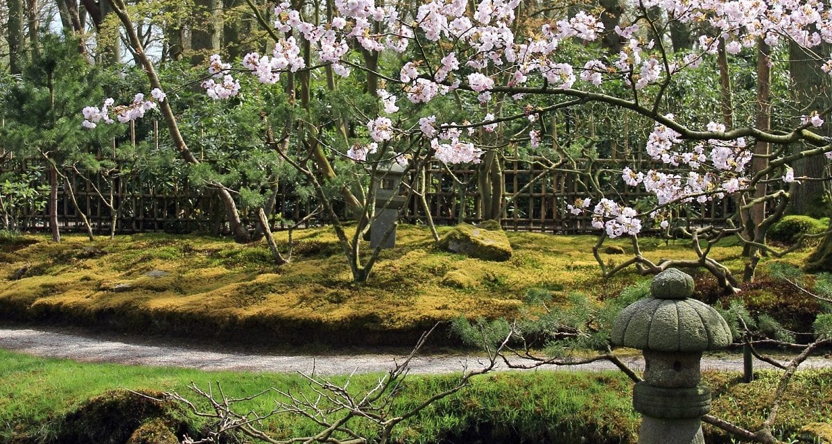 Bezoek unieke Japanse tuin op landgoed Clingendael