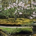 Bezoek unieke Japanse tuin op landgoed Clingendael