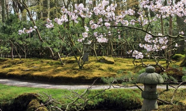 Bezoek unieke Japanse tuin op landgoed Clingendael