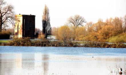 Geen bril nodig om te zien hoe mooi de IJssel is…