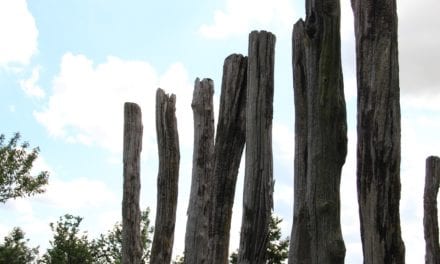 Terug naar Zeeland in de zomer, 5x tips voor augustus!