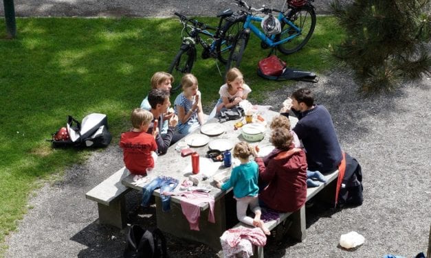 Het is zomertijd, tijd voor een picknick!