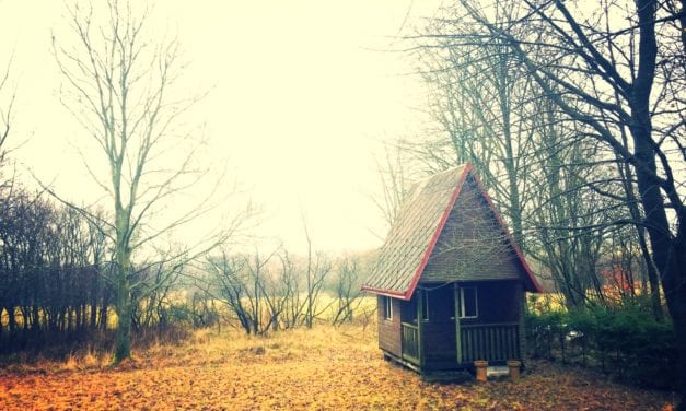 Mantelzorg chalet voor ouders in de tuin