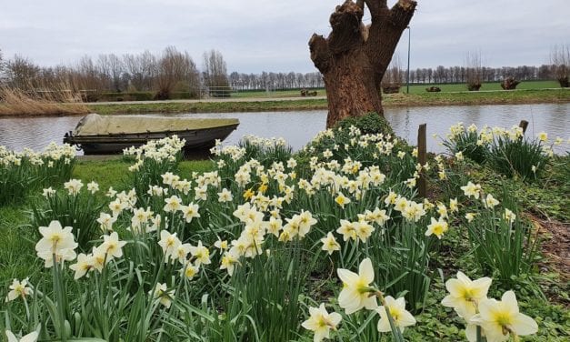 Lente beleven? Zo is er (g)een Gein aan…