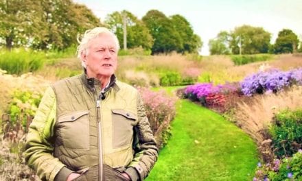 Piet Oudolf inspireert park, plantsoen en achtertuin