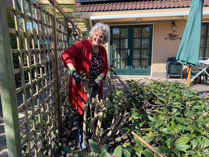 Tuinieren met Wiette: Tegel eruit, groen erin!