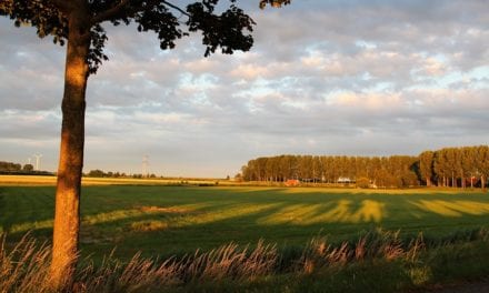 Rondje Zeeland vol heerlijkheden