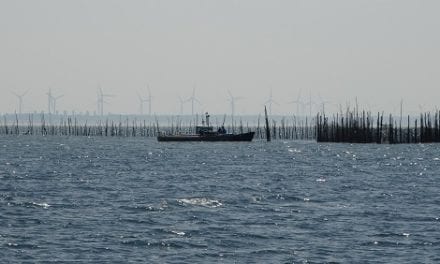 De Brabantse Wal: Waar Brabant Zeeland kust