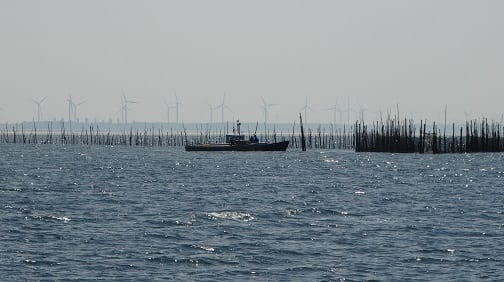 De Brabantse Wal: Waar Brabant Zeeland kust