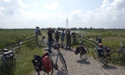 ‘Onbekend’ stukje Gooi voor heerlijk fietsrondje