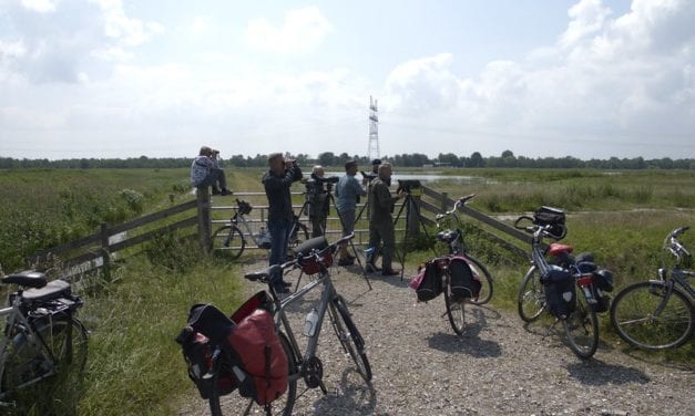 ‘Onbekend’ stukje Gooi voor heerlijk fietsrondje