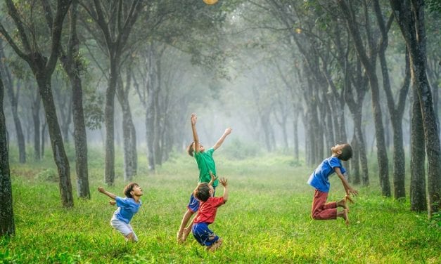 Wat komt er van kinderdromen terecht?