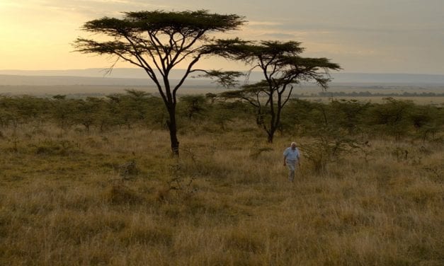 A Life on our planet: Prachtige laatste waarschuwing