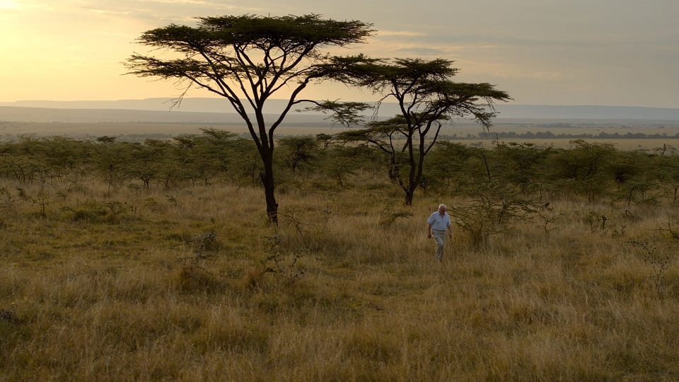 A Life on our planet: Prachtige laatste waarschuwing