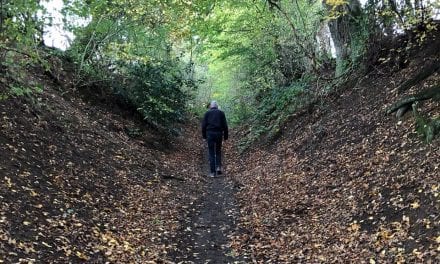 Zie wandelen in Limburg als ‘noodzakelijk’ reizen