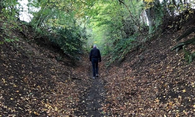 Zie wandelen in Limburg als ‘noodzakelijk’ reizen