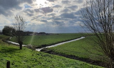 Langs Botshol en Ronde Hoep; Genieten in Stilte