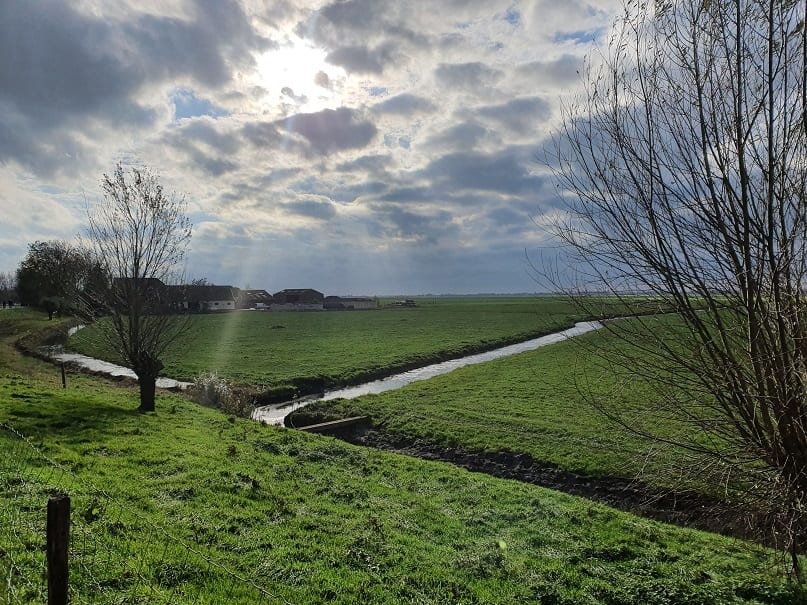 Langs Botshol en Ronde Hoep; Genieten in Stilte