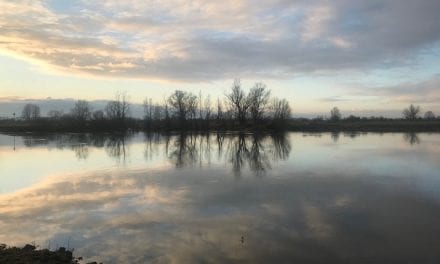 Winters wandelen, ook al is de lucht grijs