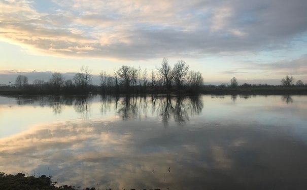 Winters wandelen, ook al is de lucht grijs