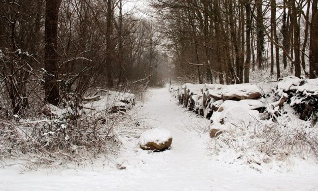 Winterse taferelen om warm van te worden
