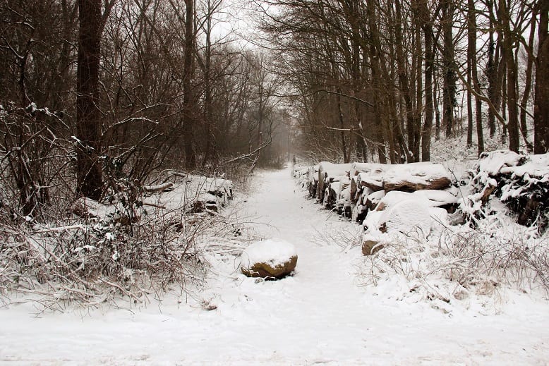 Winterse taferelen om warm van te worden