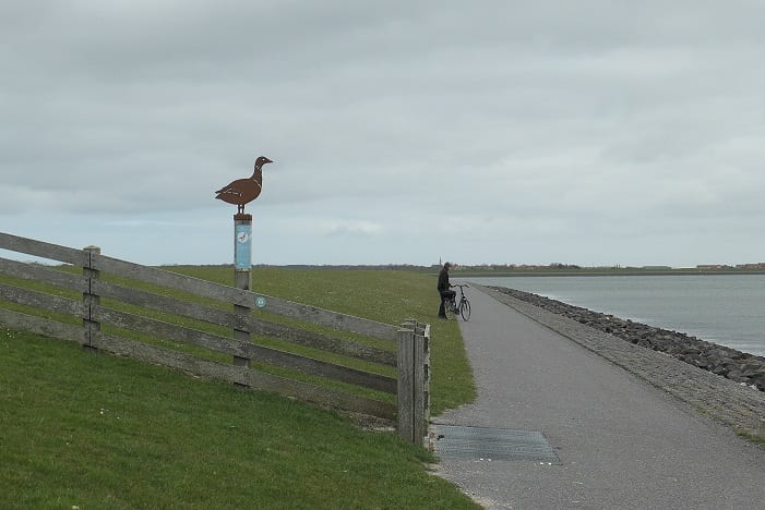 Terschelling: fietsen tussen de vogels