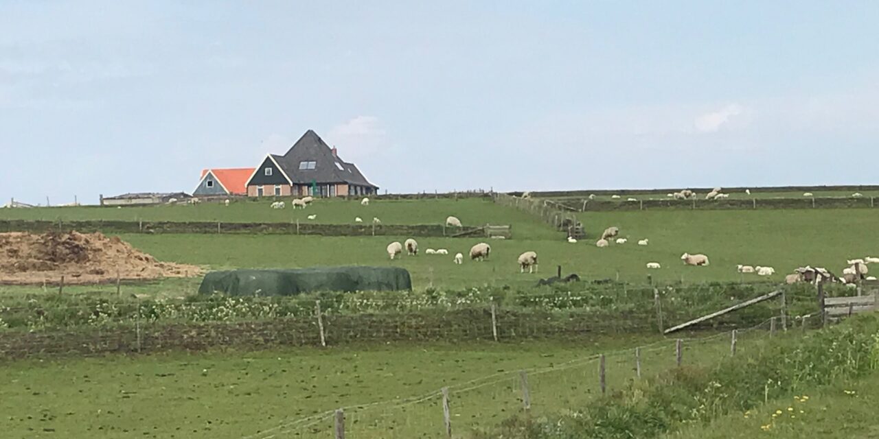 Zo veel meer genieten op Texel