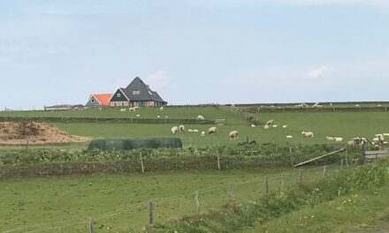 Zo veel meer genieten op Texel